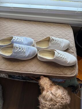 Spenco Striped Slip-On Mules in Light Blue and Cream